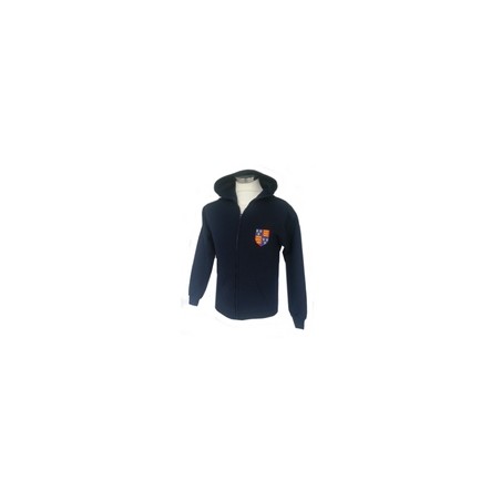 School Sports hoodie